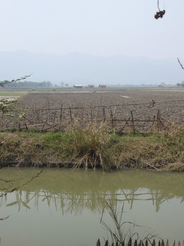 The fields and the moat.